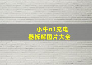 小牛n1充电器拆解图片大全