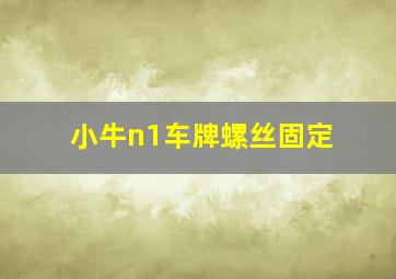 小牛n1车牌螺丝固定