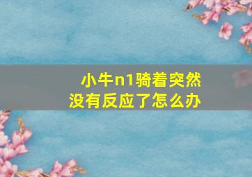 小牛n1骑着突然没有反应了怎么办