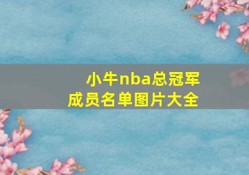 小牛nba总冠军成员名单图片大全