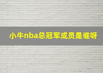 小牛nba总冠军成员是谁呀