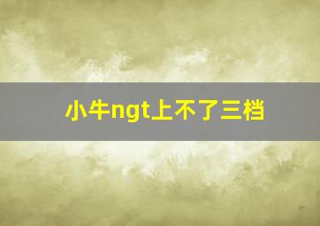 小牛ngt上不了三档