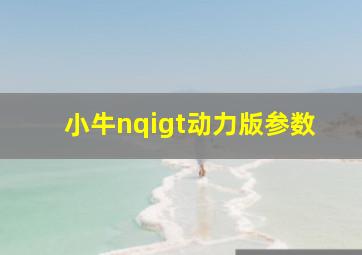 小牛nqigt动力版参数