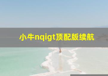 小牛nqigt顶配版续航