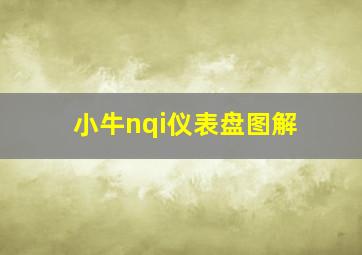 小牛nqi仪表盘图解