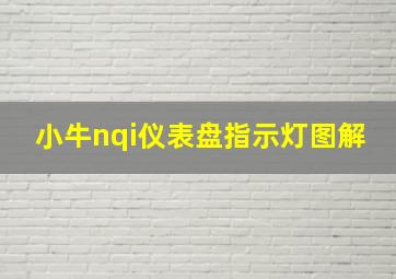 小牛nqi仪表盘指示灯图解