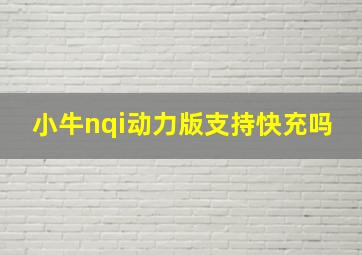 小牛nqi动力版支持快充吗