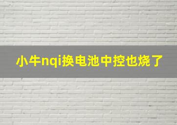 小牛nqi换电池中控也烧了