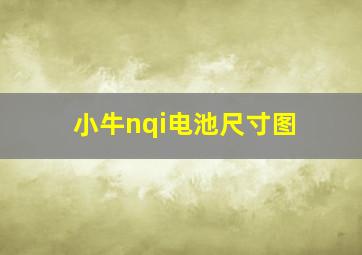 小牛nqi电池尺寸图