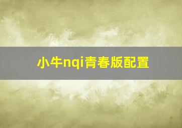 小牛nqi青春版配置