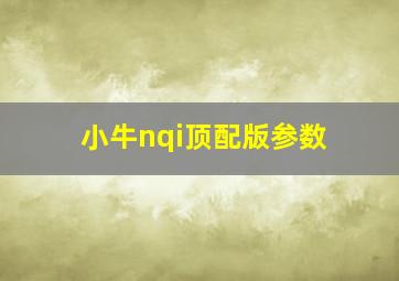 小牛nqi顶配版参数