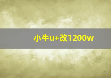 小牛u+改1200w