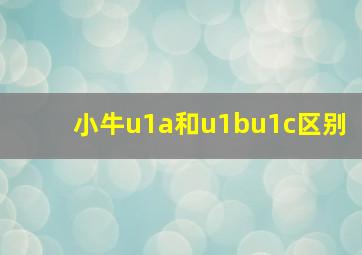 小牛u1a和u1bu1c区别