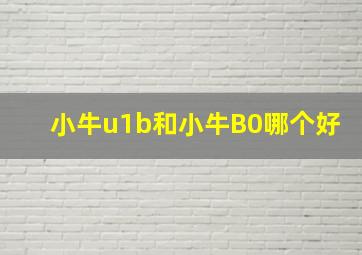 小牛u1b和小牛B0哪个好