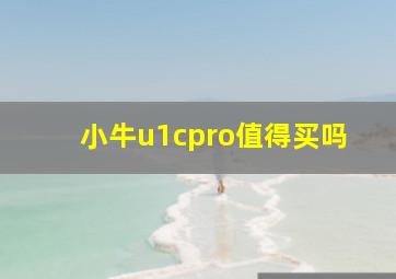 小牛u1cpro值得买吗