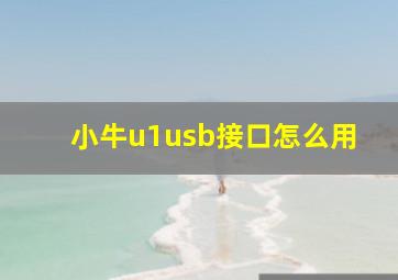 小牛u1usb接口怎么用