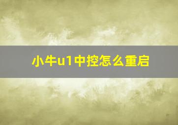 小牛u1中控怎么重启