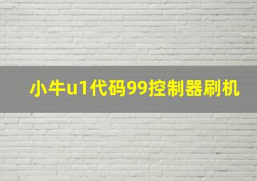 小牛u1代码99控制器刷机