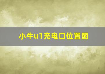 小牛u1充电口位置图