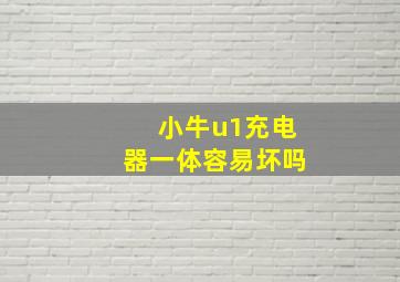 小牛u1充电器一体容易坏吗