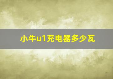 小牛u1充电器多少瓦