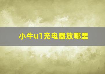 小牛u1充电器放哪里