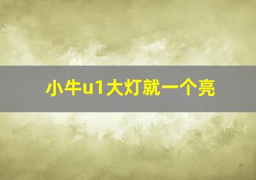 小牛u1大灯就一个亮