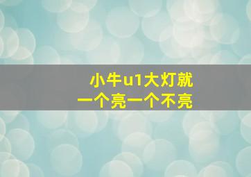 小牛u1大灯就一个亮一个不亮