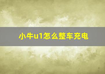 小牛u1怎么整车充电