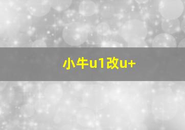 小牛u1改u+