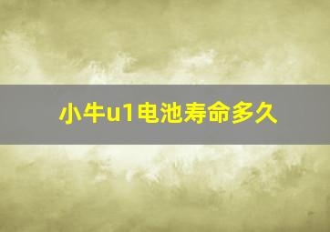 小牛u1电池寿命多久