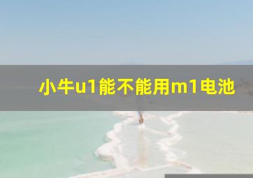 小牛u1能不能用m1电池