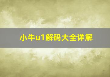 小牛u1解码大全详解