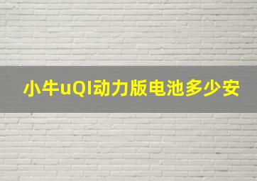 小牛uQI动力版电池多少安