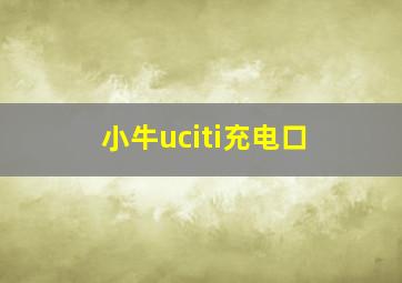 小牛uciti充电口