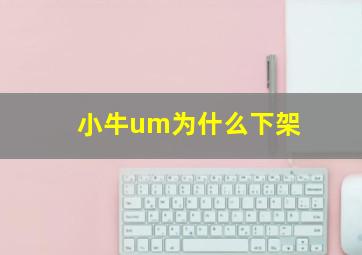 小牛um为什么下架