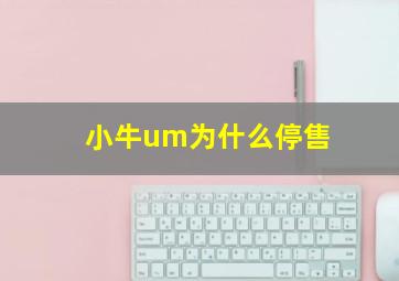 小牛um为什么停售