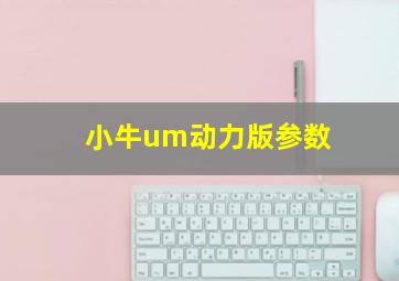 小牛um动力版参数