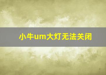 小牛um大灯无法关闭