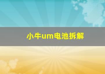 小牛um电池拆解