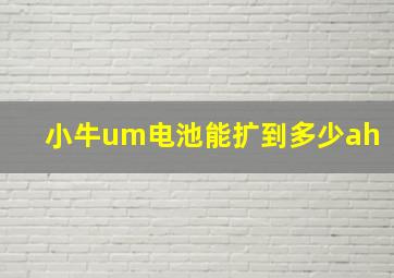 小牛um电池能扩到多少ah