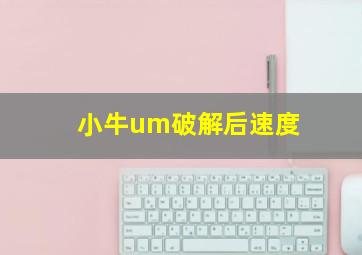 小牛um破解后速度