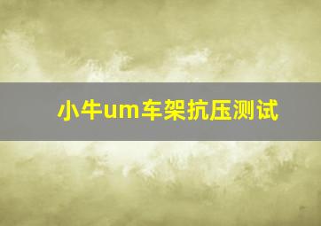 小牛um车架抗压测试