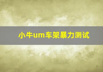 小牛um车架暴力测试