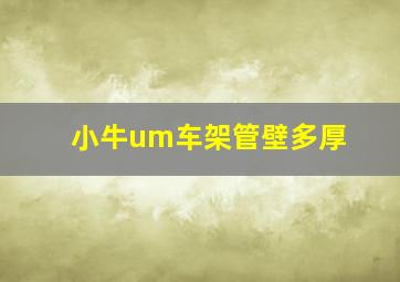 小牛um车架管壁多厚