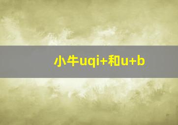 小牛uqi+和u+b