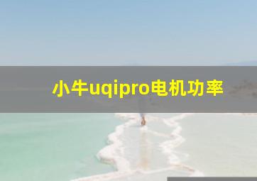 小牛uqipro电机功率