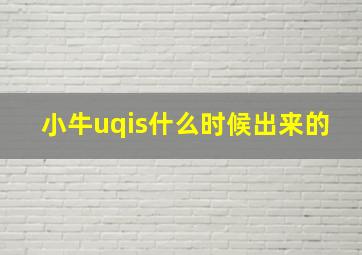 小牛uqis什么时候出来的