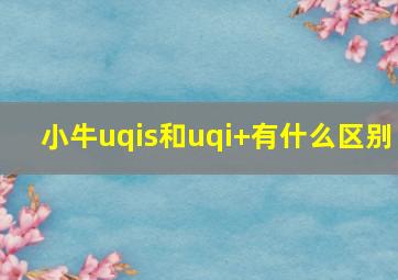 小牛uqis和uqi+有什么区别