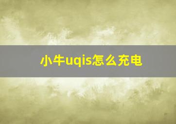 小牛uqis怎么充电